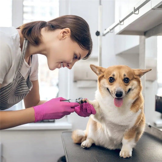 Stainless Steel Pet Nail Clipper