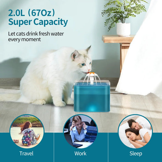 2L Auto Filter Cat Water Fountain